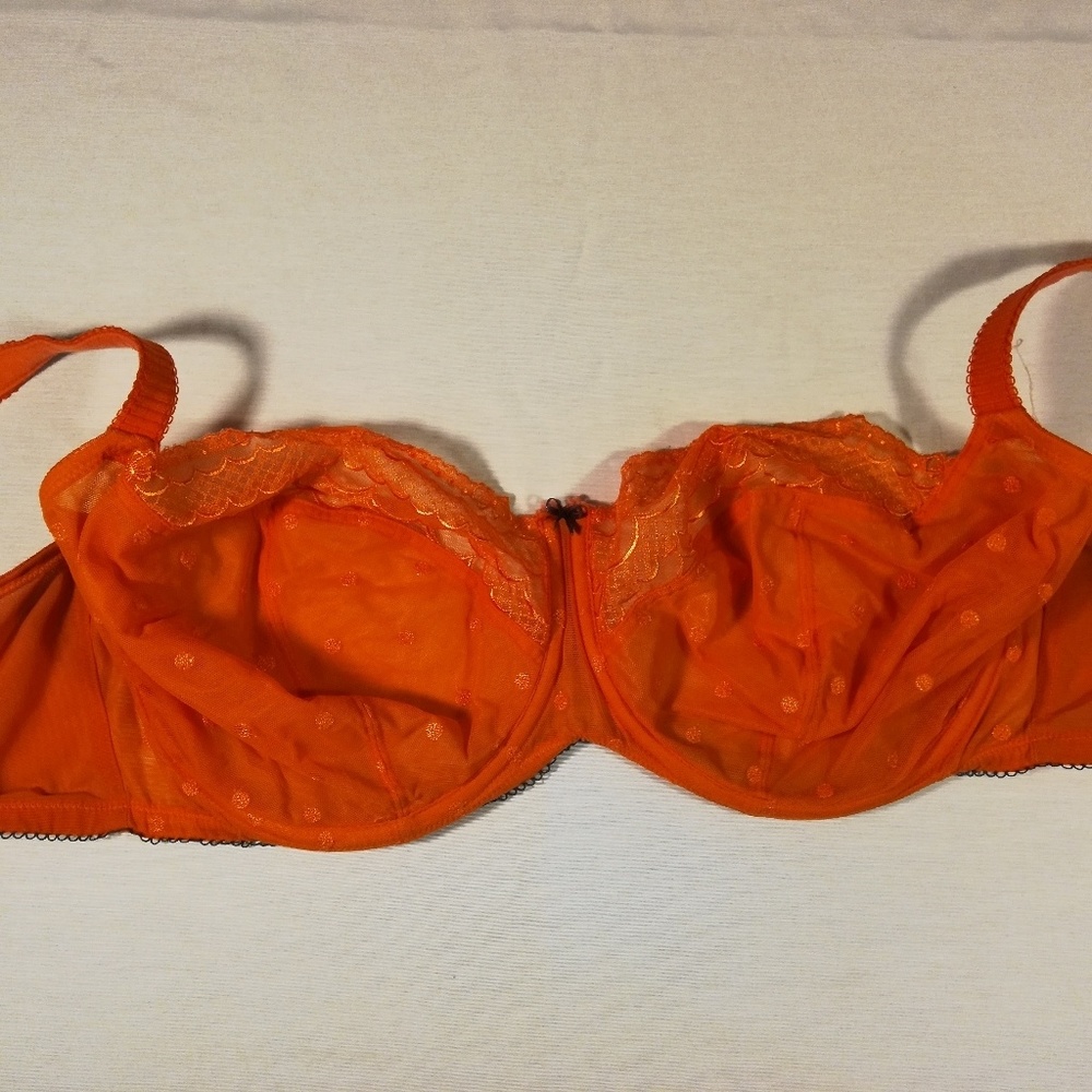 38H Cleo Bra in Coral